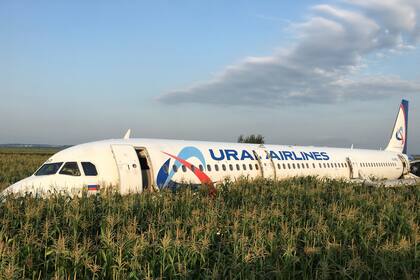 Rusia: un avión chocó con pájaros y debió aterrizar de emergencia sin ruedas ni motores