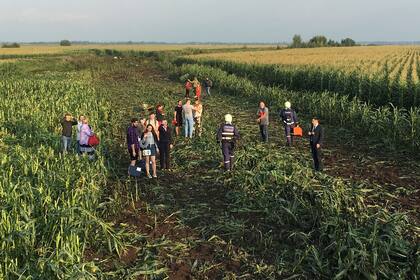 Rusia: un avión chocó con pájaros y debió aterrizar de emergencia sin ruedas ni motores