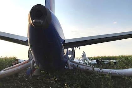 Rusia: un avión chocó con pájaros y debió aterrizar de emergencia sin ruedas ni motores