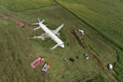 Rusia: un avión chocó con pájaros y debió aterrizar de emergencia sin ruedas ni motores