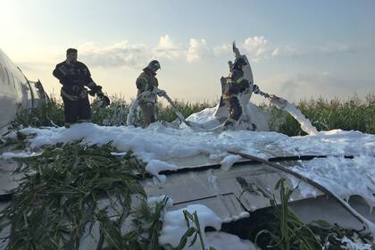 Rusia: un avión chocó con pájaros y debió aterrizar de emergencia sin ruedas ni motores