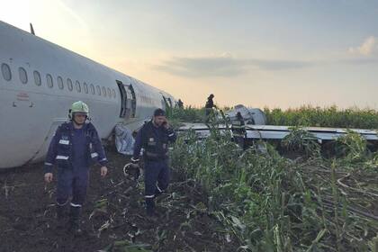 Rusia: un avión chocó con pájaros y debió aterrizar de emergencia sin ruedas ni motores