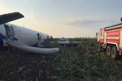 Rusia: un avión chocó con pájaros y debió aterrizar de emergencia sin ruedas ni motores