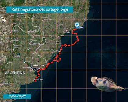 Ruta migratoria del tortugo Jorge