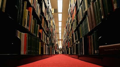 ¿Sabías que puedes estudiar gratis por internet cursos de fotografía o medicina de la Universidad de Stanford?