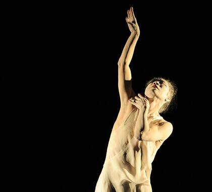 Sabiduria garantizada: Tadashi Endo trabajó con Doris Dörrie en Las flores del cerezo