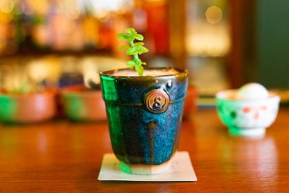 Sabio es el primer bar inspirado en la coctelería botánica.