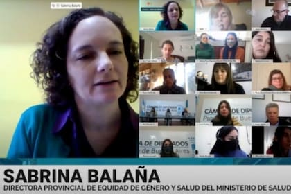 Sabrina Balaña, directora de Equidad y Género del Ministerio de Salud de la provincia de Buenos Aires, aseguró que tienen "una red de primer y segundo trimestre armada para empezar a aplicar esta ley”