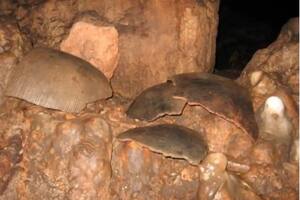 Sacrificios humanos y ofrendas: qué revelaron los restos hallados en una cueva maya (Foto: National Geographic / Medina-Elizalde)
