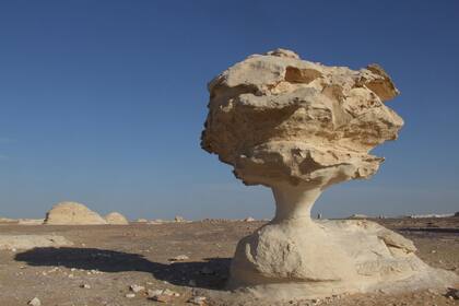 Sahara será uno de los documentales que celebrarán la biodiversidad del planeta Tierra