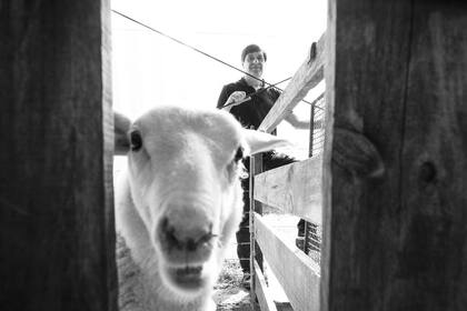 Salamone y una de sus ovejas clonadas. Él las considera sus hijas.