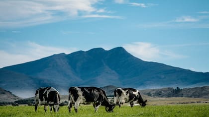 Saldungaray, el pueblo rural y vitivinícola de la comarca serrana bonaerense