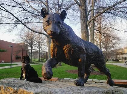 Salem es casi una celebridad en el campus universitario