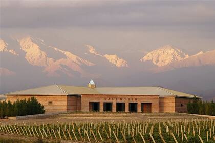 Bodega Salentein, en Valle de Uco (Mendoza), donde se produce el multipremiado Cabernet Sauvignon Primus