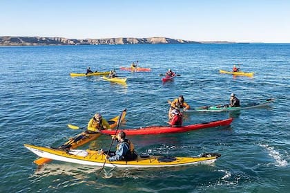 Salir en kayak permite conectar con la naturaleza