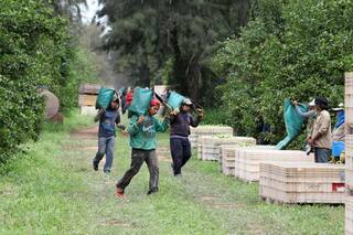 Interpretaciones apresuradas sobre el mundo rural