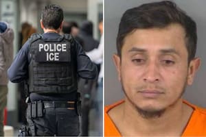 Salvó a una niña de un ataque de un tiburón y ahora podrían deportarlo