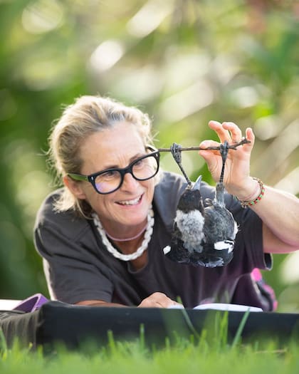 Sam Bloom juega y entrena junto a Penguin