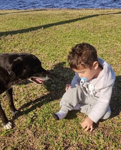 Samuel Levi de Oliveira tiene tres años y logró caminar gracias a la ayuda de su perro