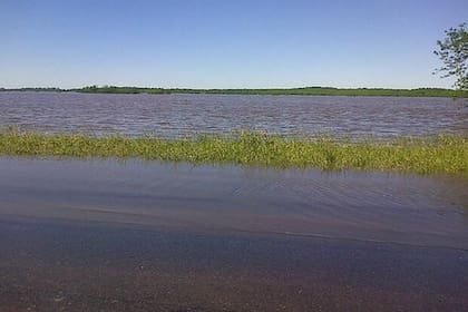 "Así esta el rio #Areco sobre la Ruta 9", informó un hombre vía Twitter