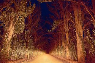 Torres: "En el futuro, las investigaciones del narco deberían ser estratégicas"