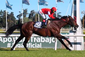 Tres repatriados, la inédita apuesta argentina para la carrera de Maroñas