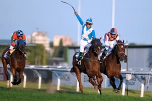 Cómo es la transformación digital del turf argentino y qué genera la modernización de las apuestas