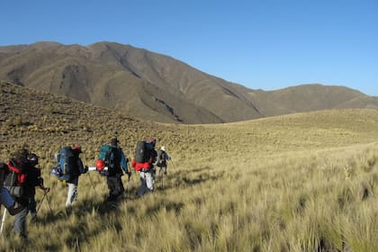 Sánchez es uno de los guías de montaña más reconocidos del país, durante el verano lleva grupos que quieren hacer cumbre en el Aconcagua