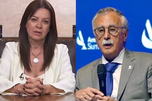 El curioso comunicado de Pettovello que aclara que Discapacidad y PAMI no dependen de Capital Humano