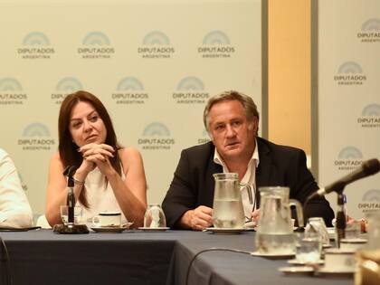 Sandra Pettovello y el exfuncionario Pablo De la Torre, en una reunión de febrero