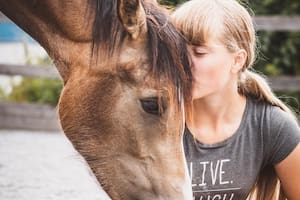 Lecciones que nos da el corazón de los caballos