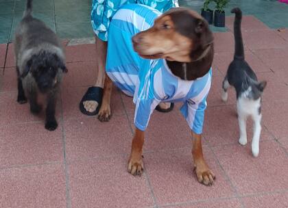 Sansón con sus compañeros, también rescatados.