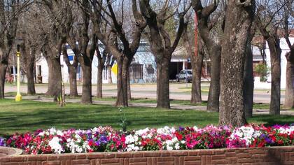 Santa Fe: la colonia Belgrano ofrece tierras a familias jóvenes que quieran radicarse