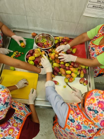 Santiago del Estero tiene potencial para producir más tunas.