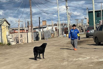Santino camina por las calles del barrio Madres a la Lucha, en donde los perros y los incendios son las principales amenazas