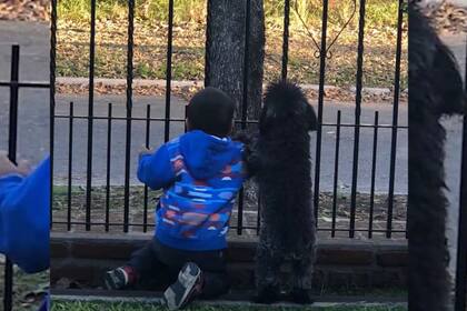 Santino, en los primeros días de su estadía en la casa de sus abuelos, esperaba junto a la reja que sus padres lo fueran a buscar