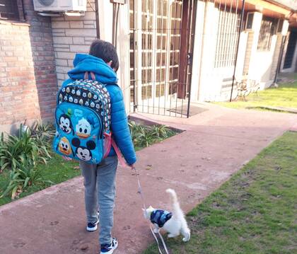 Santino interactuando con Rolando, el gato.