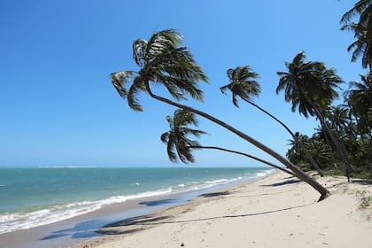 Sao Miguel dos Milagres.