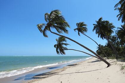 São Miguel dos Milagres.