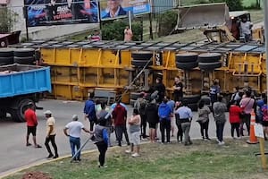 Volcó un camión que transportaba cientos de cerdos y vecinos se llevaron los animales vivos y muertos