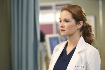 Sarah Drew ingresó a la serie con su personaje de April Kepner en la sexta temporada; se despidió en la 14 y tuvo una participación especial en la 17