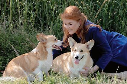 Sarah Ferguson, ex mujer del príncipe Andrés, prefirió homenajear a su ex suegra posando con sus corgis favoritos: Sandy y Muick.