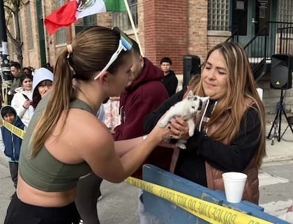 Sarah recogió al gato que estaba a la intemperie y se lo dio a cuidadoras de un refugio