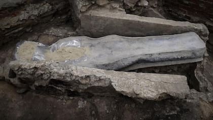 Sarcófago del siglo XIV encontrado en las entrañas del piso de Notre Dame