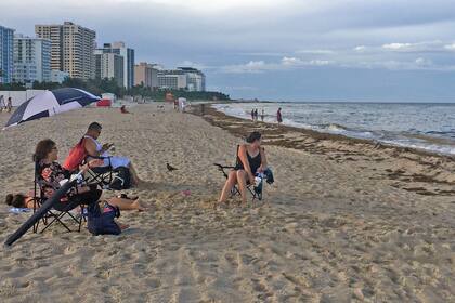 El sargazo invade las costas y primeros metros del agua de México y el sur de Florida, Estados Unidos