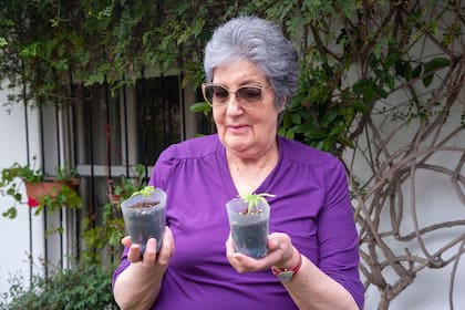 Sarita, de 82 años, dice que el cannabis medicinal le cambió la vida