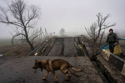 Sasha, de 50 años, espera a su perro Druzhok antes de cruzar un puente destruido por el ejército ruso cuando se retiró de las aldeas en las afueras de Kiev, Ucrania.