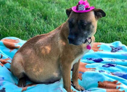 Sassy en su sesión de fotos antes de ser mamá