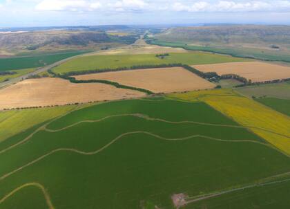 Satellogic, una empresa fundada por argentinos, anunció que en 2025 pondrá 300 satélites en órbita que permitirán tener 60 imágenes diarias de cualquier punto del mundo con una resolución de 30 centímetros. La detección y reconocimiento de malezas a partir de vuelos con drones ya es posible desde hace algunos años mediante la israelí Taranis