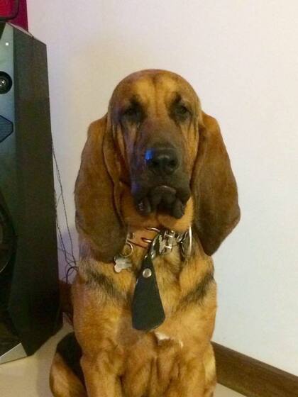 Saul con su expresión tan particular.